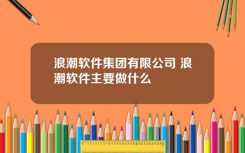 浪潮软件集团有限公司 浪潮软件主要做什么